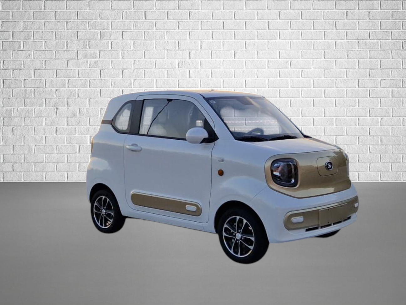 CityEL Others  Bentu Mango BTE05