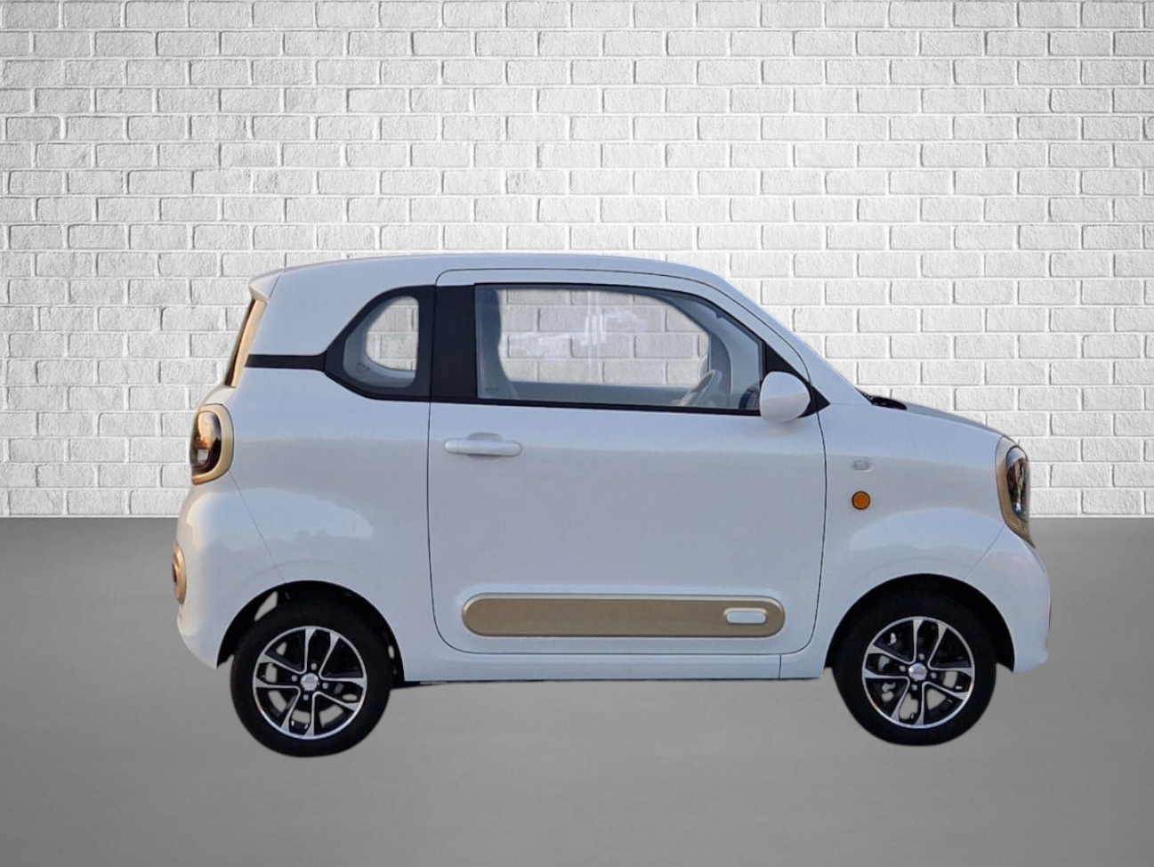 CityEL Others  Bentu Mango BTE05