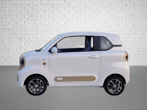 CityEL Others Bentu Mango BTE05