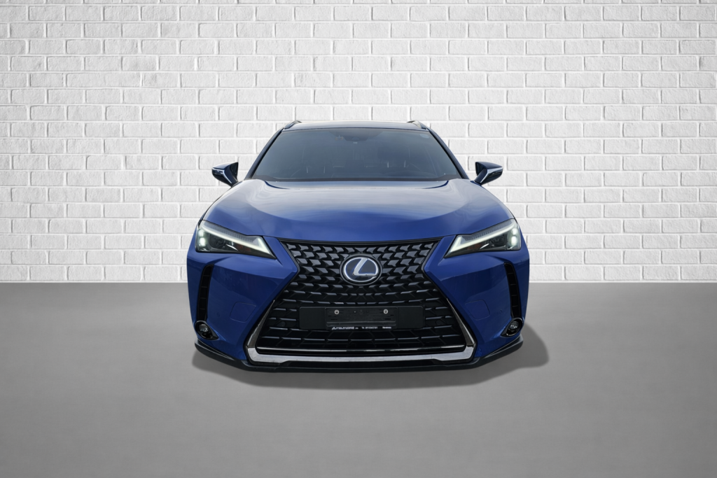 Lexus UX 250h