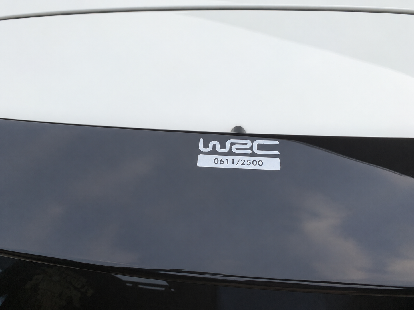 Volkswagen Polo WRC